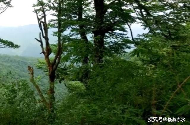 地狱边境