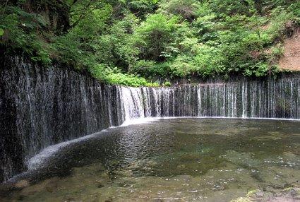 逃出白海豹洞
