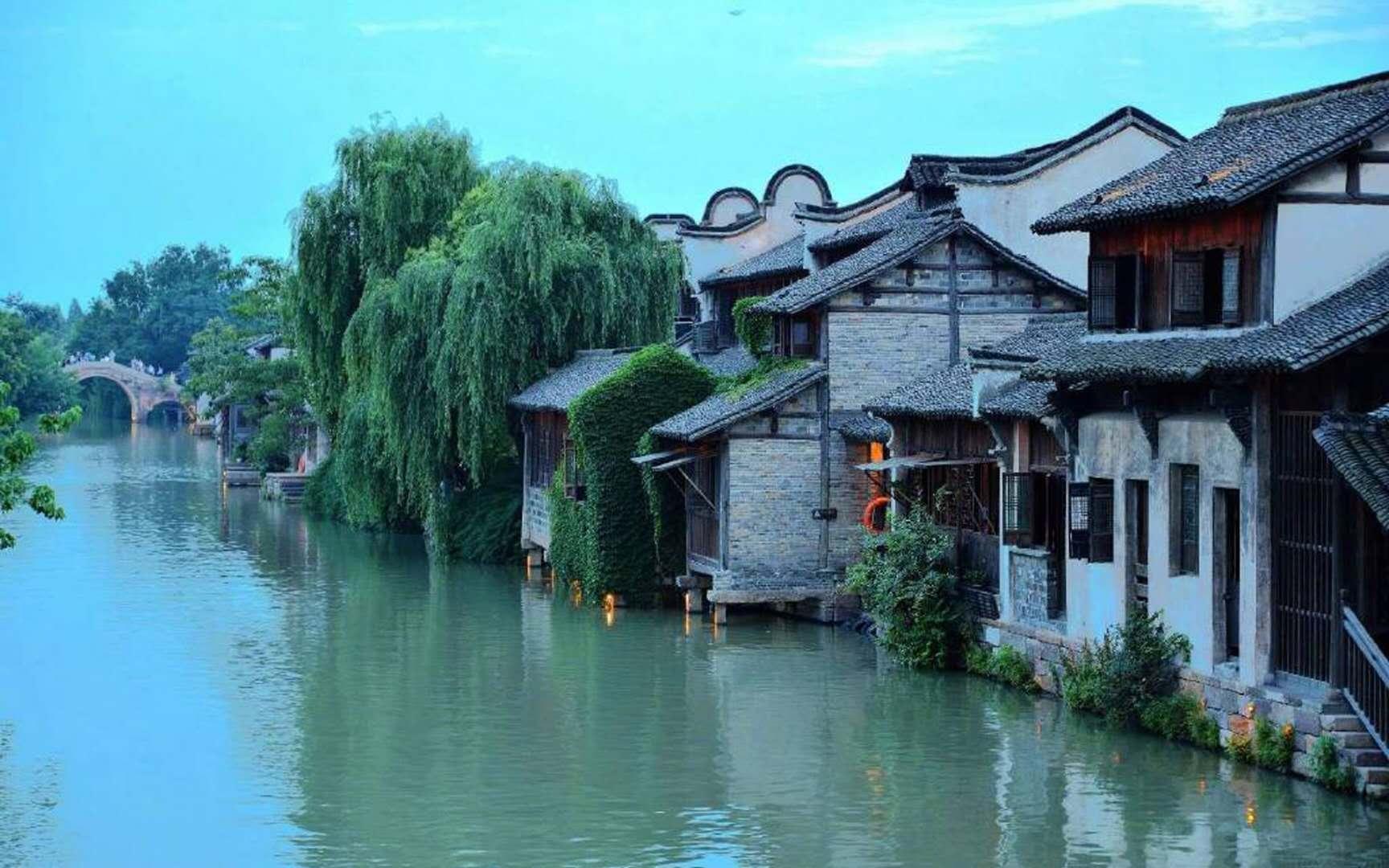 植物大战僵尸9